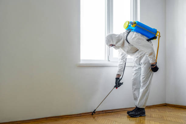 Best Pest Control Near Me in Delray Beach, FL