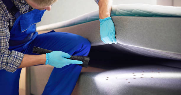 Best Wasp Removal Services  in Delray Beach, FL