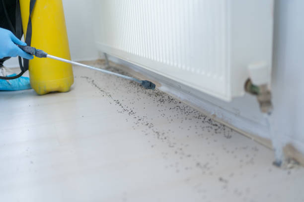 Best Pest Inspection Near Me  in Delray Beach, FL