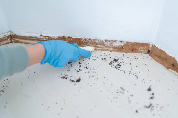 Best Commercial Pest Control Services  in Delray Beach, FL