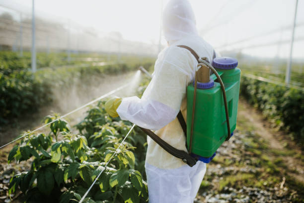  Delray Beach, FL Pest Control Pros
